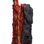 Barbecue Meat Cookbook by Fair Winds Press eBook 224‑Page Guide-0