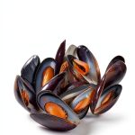 Seafood Cooking Guide by Harvest – Kindle eBook with X‑Ray-0