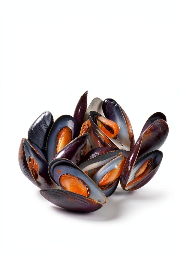 Seafood Cooking Guide by Harvest – Kindle eBook with X‑Ray-0